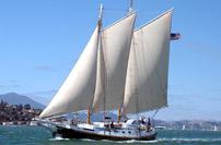 S.F. Bay Adventures-Sail on San Francisco Bay 202//133